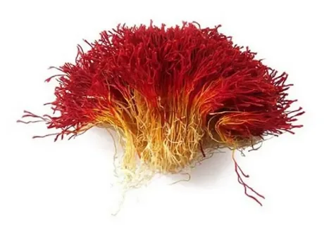 تصویر 1 از زعفران شکسته عروس پیچ با کیفیت مرغوب و تازه مناسب آشپزی